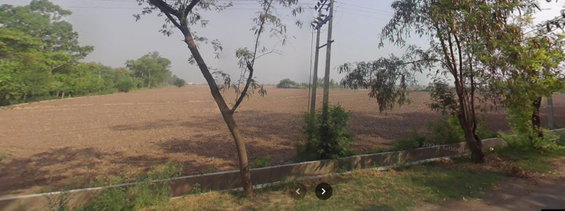 Nh 44, Rajpura photo 5
