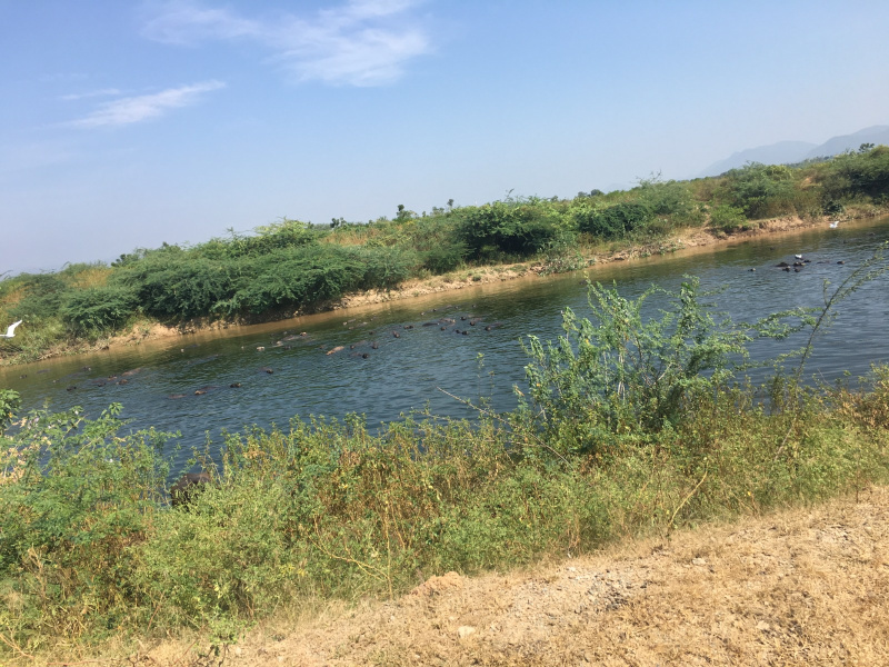 Vinukonda, Guntur photo 3