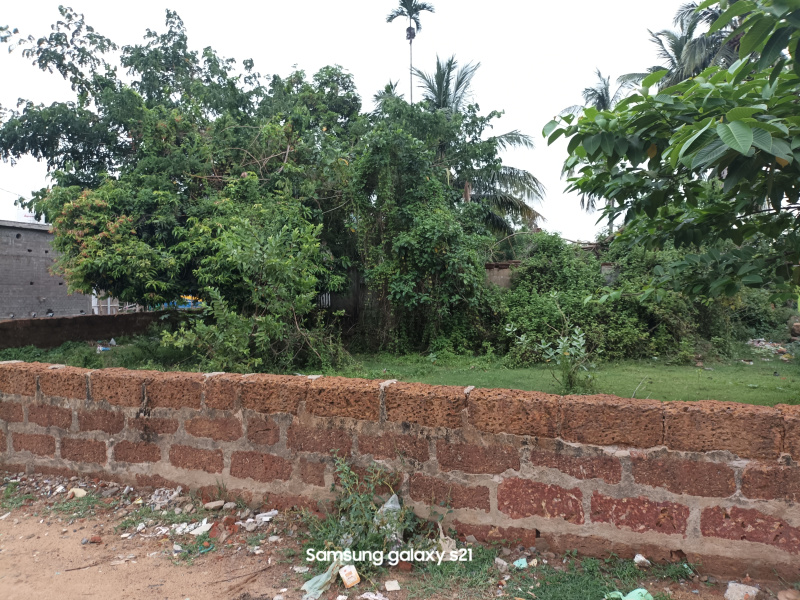Urali, Cuttack photo 5