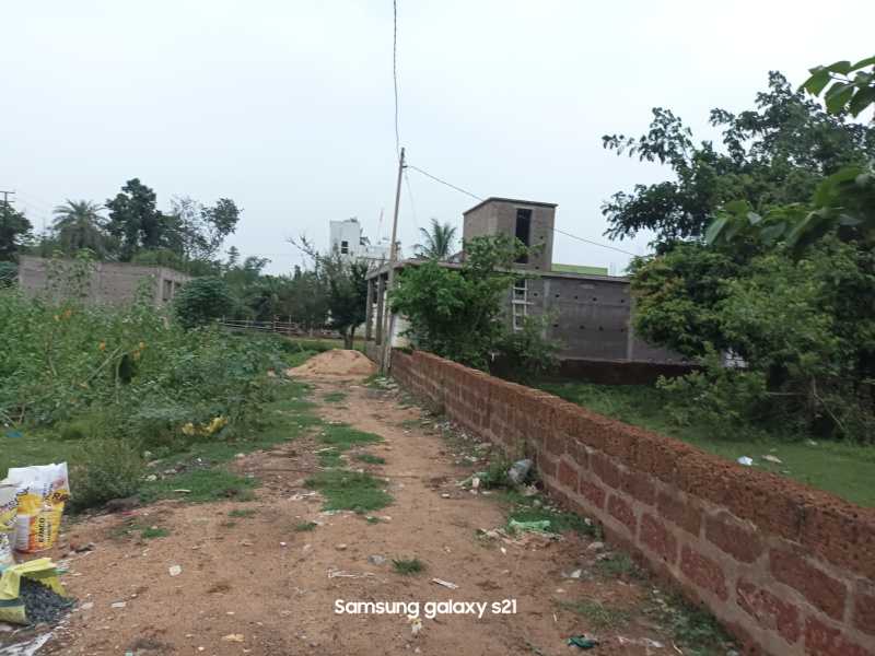 Urali, Cuttack photo 3