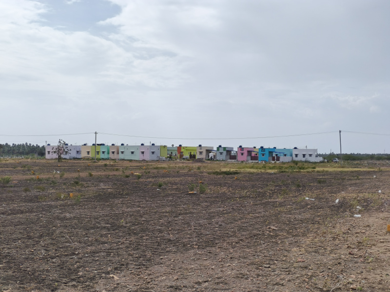 Palladam, Tirupur photo 2