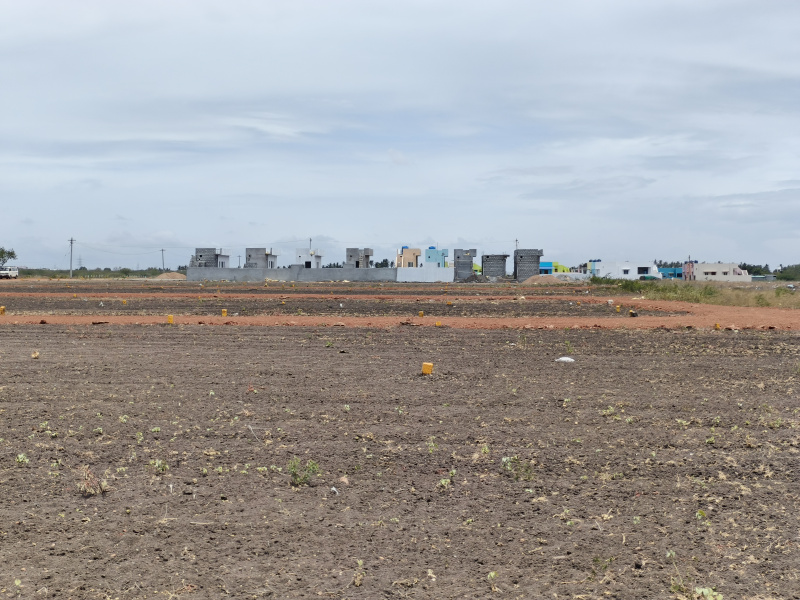 Palladam, Tirupur photo 3