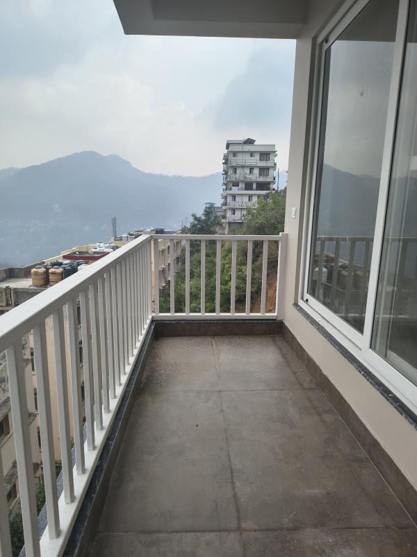 Basal, Solan photo 2
