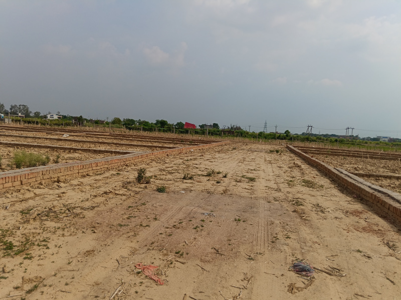 Jhalwa, Prayagraj photo 2