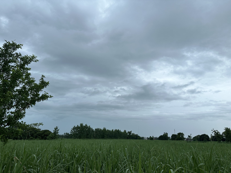 Naugawan Sadat, Amroha photo 2