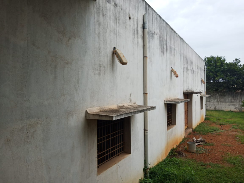 Alinjivakkam, Thiruvallur photo 3