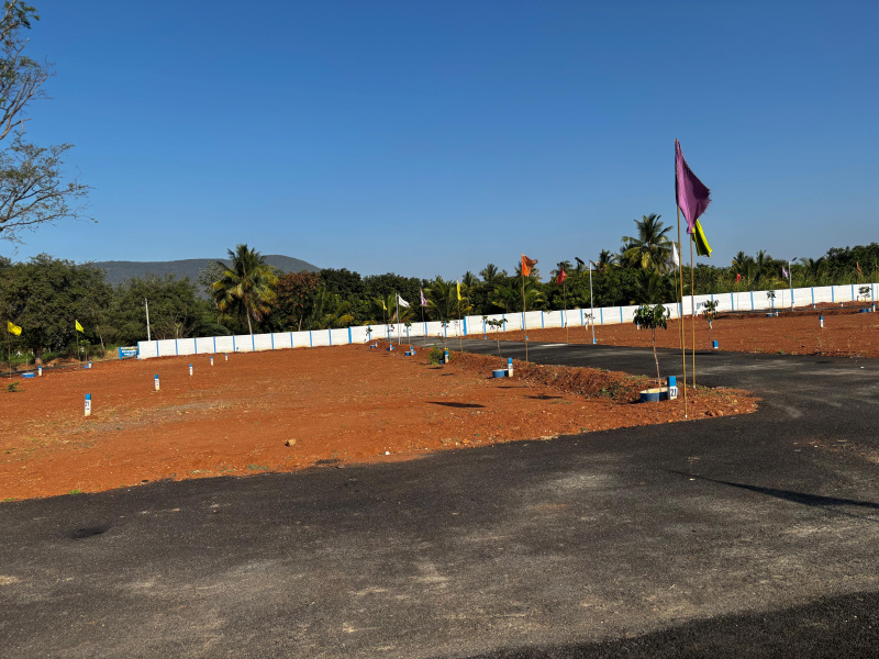 Ayakudi, Dindigul photo 5