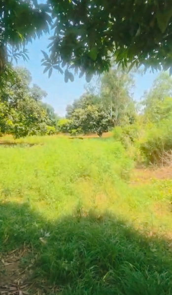 Garhmukteshwar, Hapur photo 4