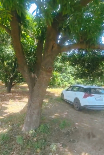 Garhmukteshwar, Hapur photo 5