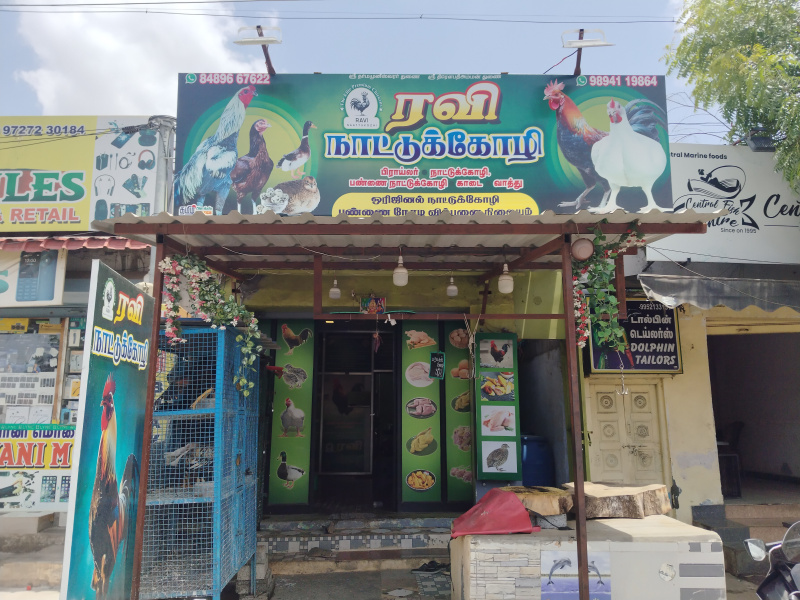 Pandian Nagar, Tirupur photo 3