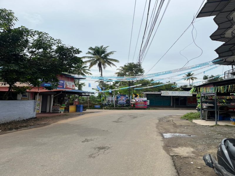 Aluva, Ernakulam photo 5