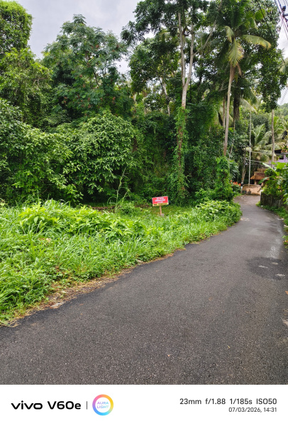 Peyad, Thiruvananthapuram photo 3