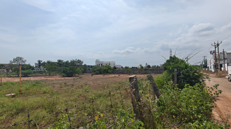 Arasur, Coimbatore photo 4