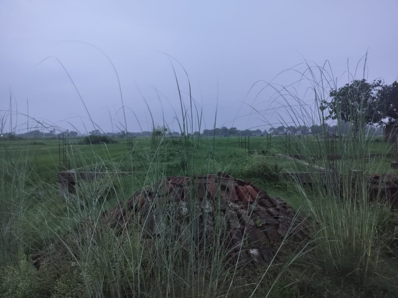 Phulpur, Prayagraj photo 2