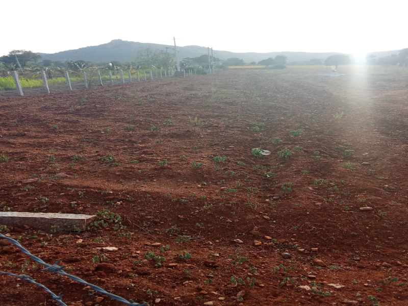 Nanjungud Road, Mysore photo 3