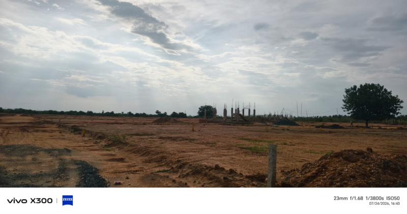Amancharla, Nellore photo 5