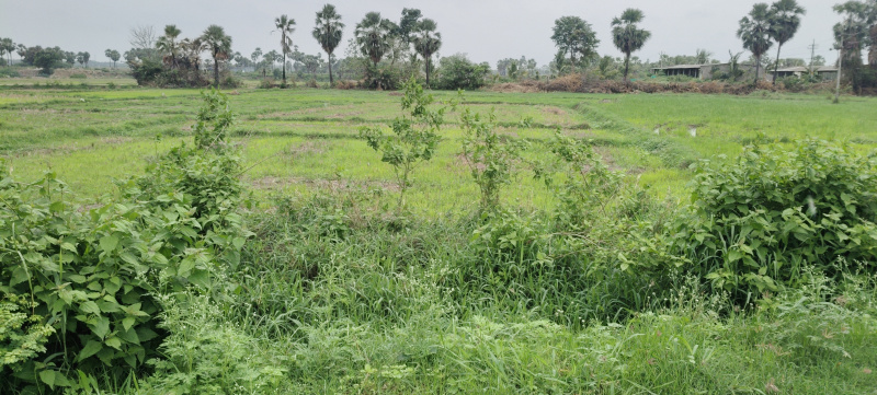 Hanamkonda, Warangal photo 5