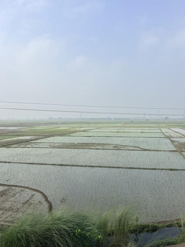 Barh, Patna photo 2
