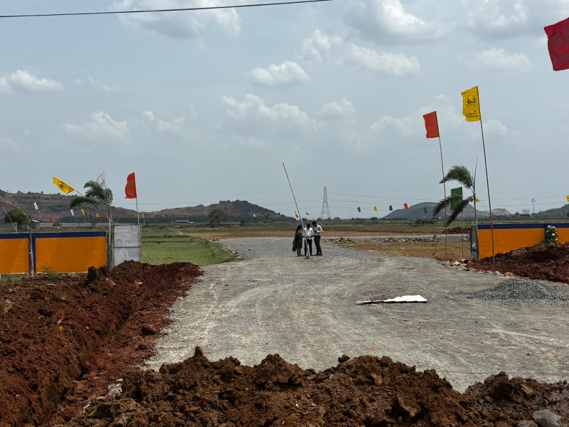 Gannavaram, Vijayawada photo 3