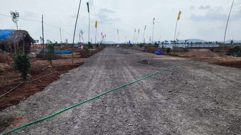 Gannavaram, Vijayawada photo 5