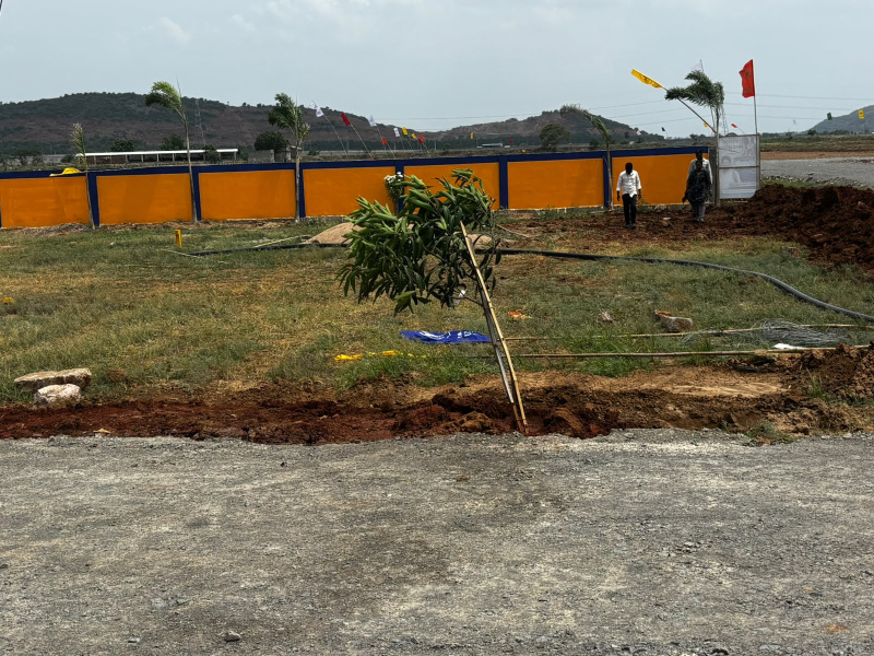 Nunna, Vijayawada photo 2