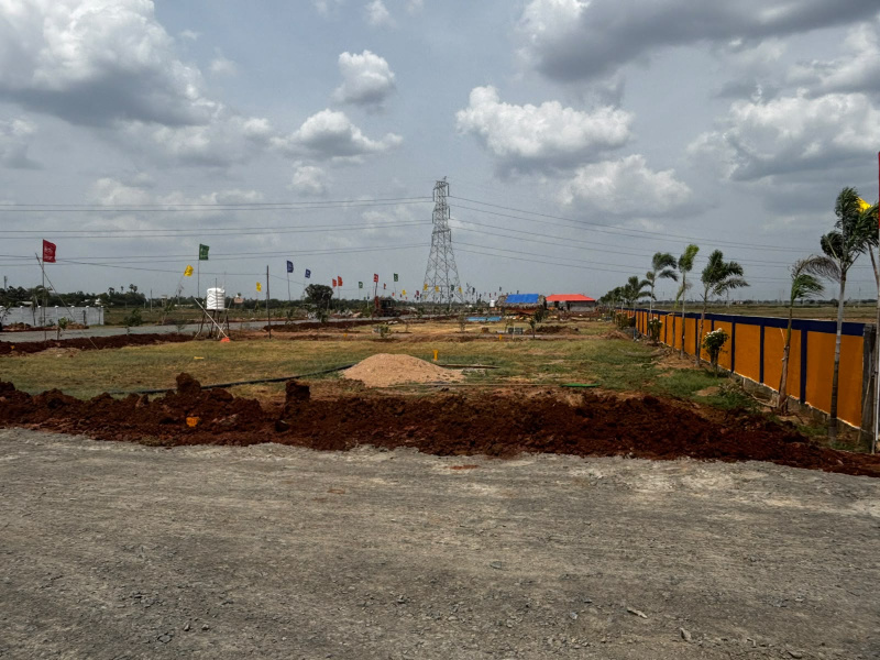 Nunna, Vijayawada photo 3