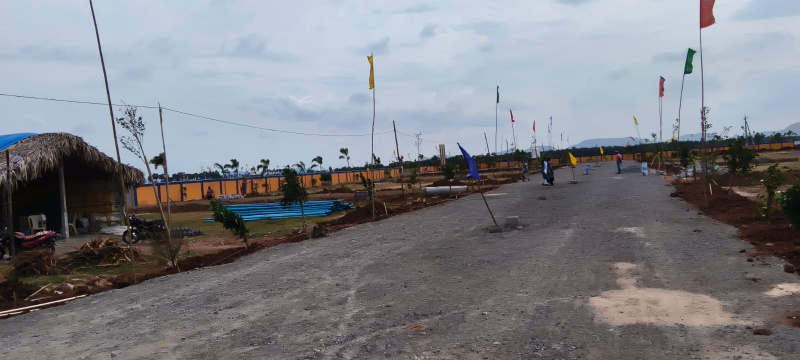 Nunna, Vijayawada photo 5