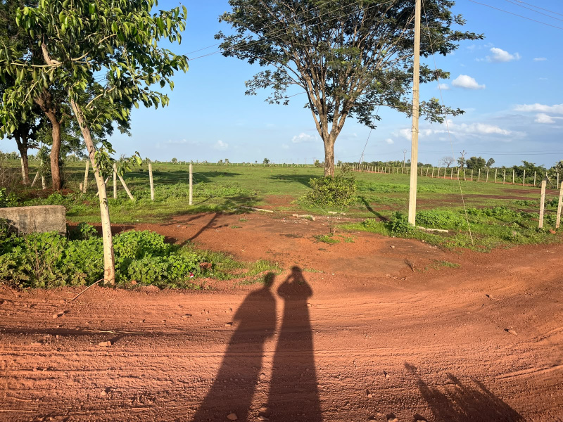 Zaheerabad, Sangareddy photo 3