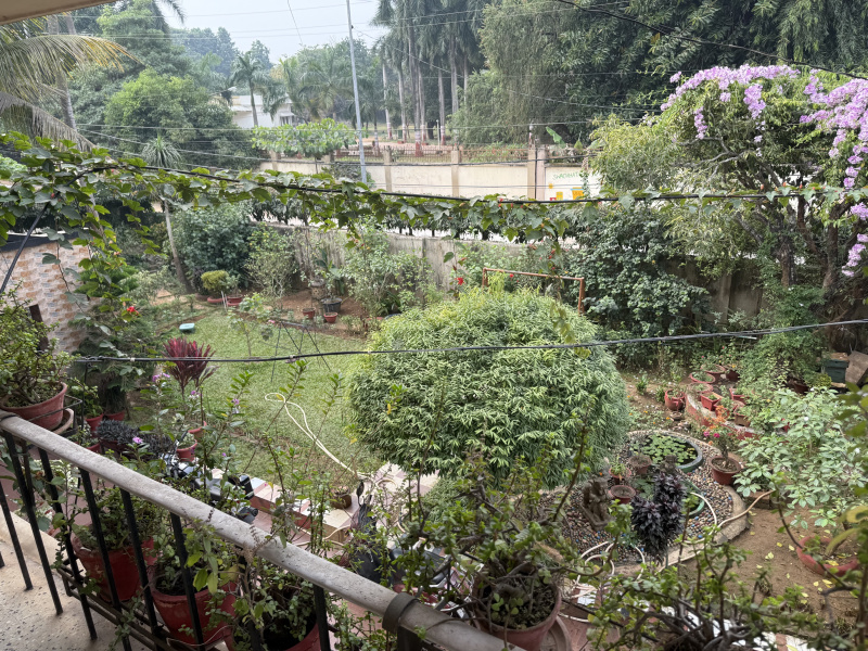 Kharvel Nagar, Bhubaneswar photo 4