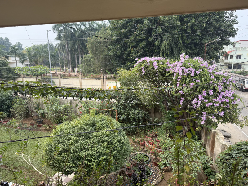 Kharvel Nagar, Bhubaneswar photo 5