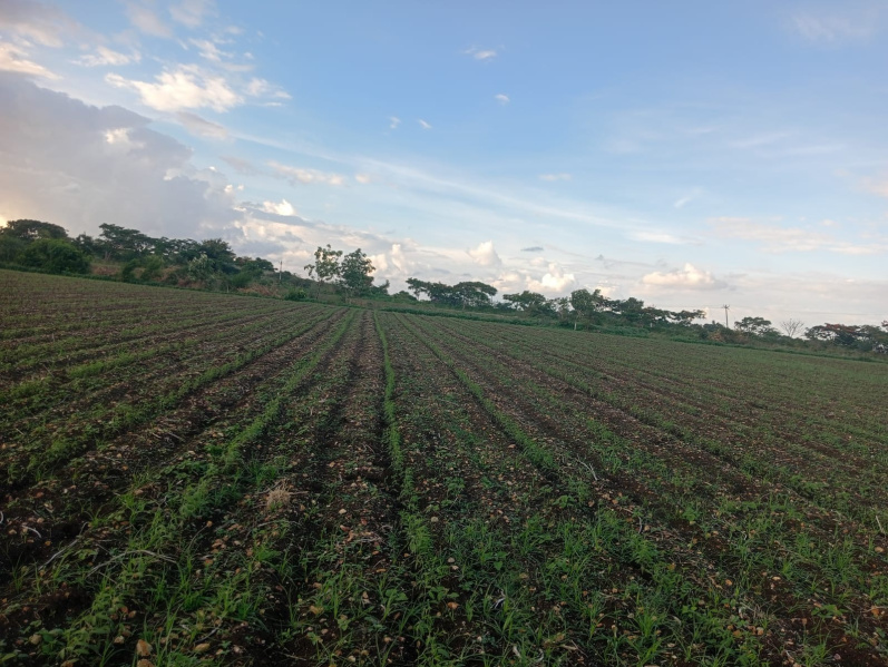 Kalwakurthy, Mahbubnagar photo 3