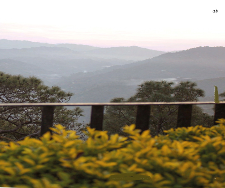 DLF Valley, Panchkula photo 4