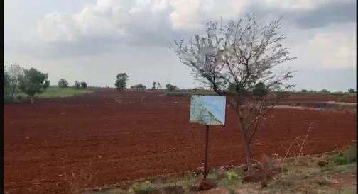Zaheerabad, Adarsh Nagar Colony, Sangareddy photo 4