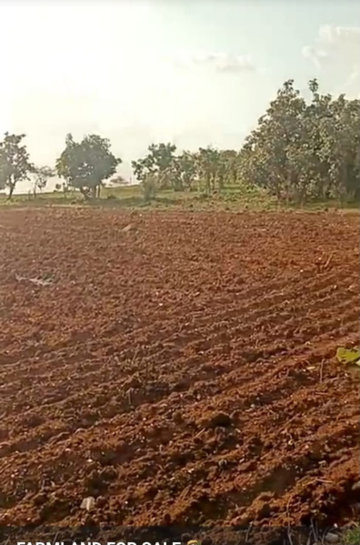 Zaheerabad, Adarsh Nagar Colony, Sangareddy photo 5