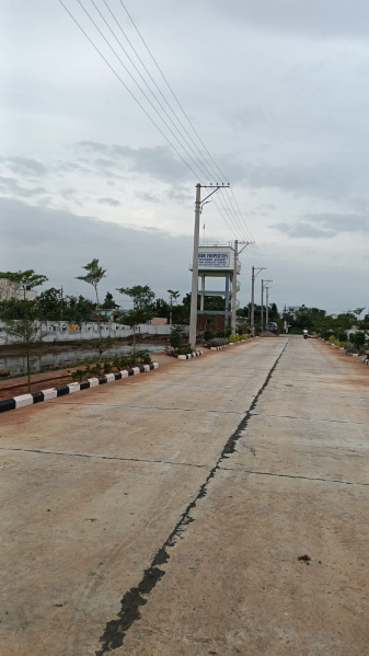 Nunna, Vijayawada photo 3