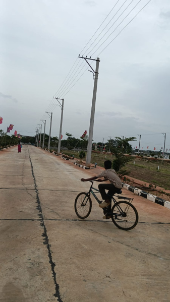 Nunna, Vijayawada photo 4