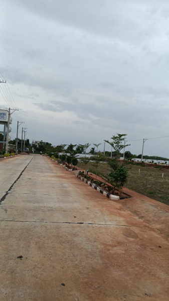 Nunna, Vijayawada photo 5
