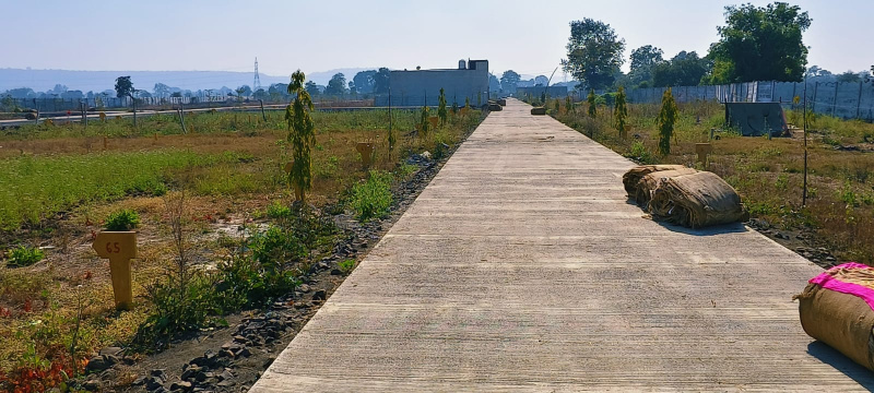 Barela, Jabalpur photo 4