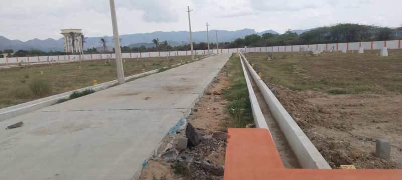 Renigunta, Tirupati photo 3