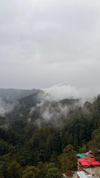 Ram Nagar, Shimla photo 4