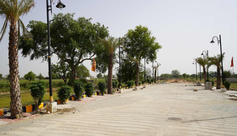 Jattari, Aligarh photo 3