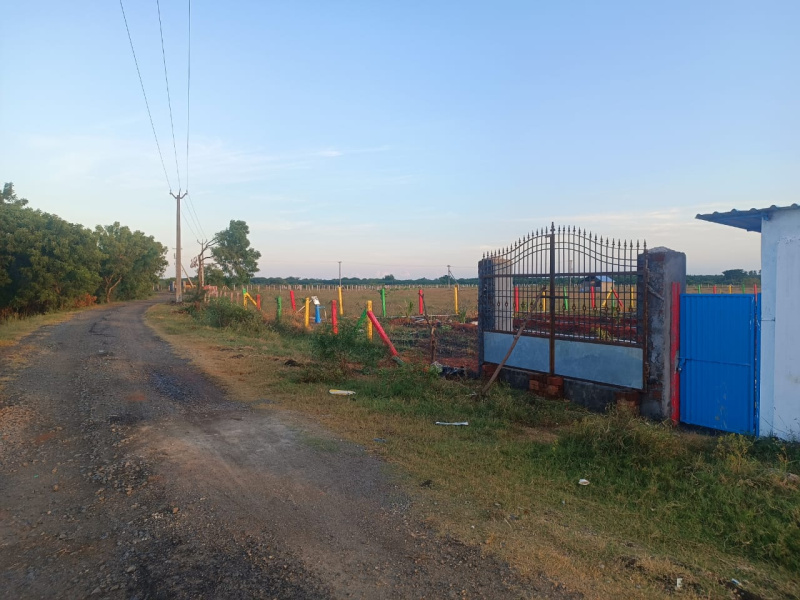 Moratandi, Pondicherry photo 3