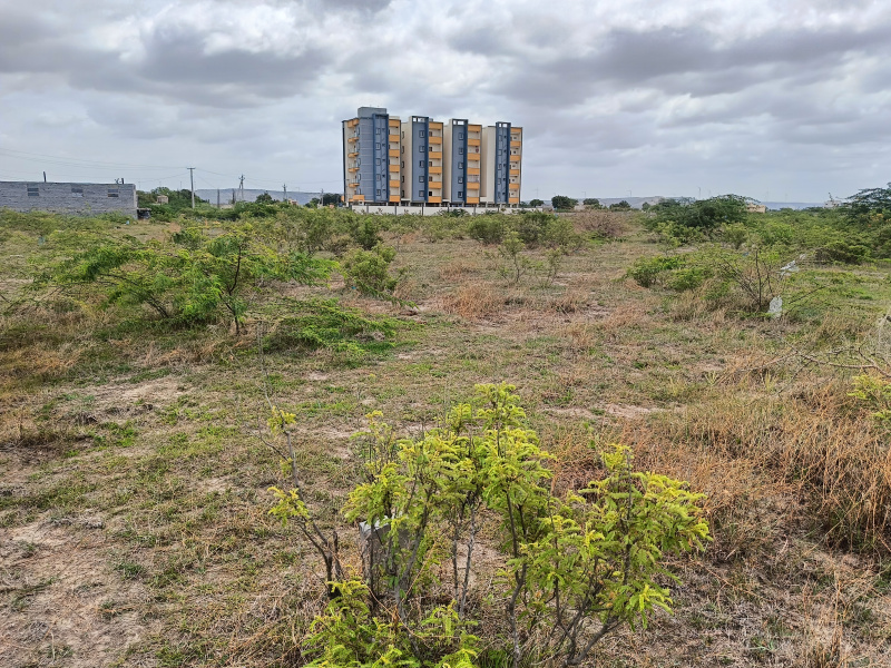 Tadipatri, Anantapur photo 4