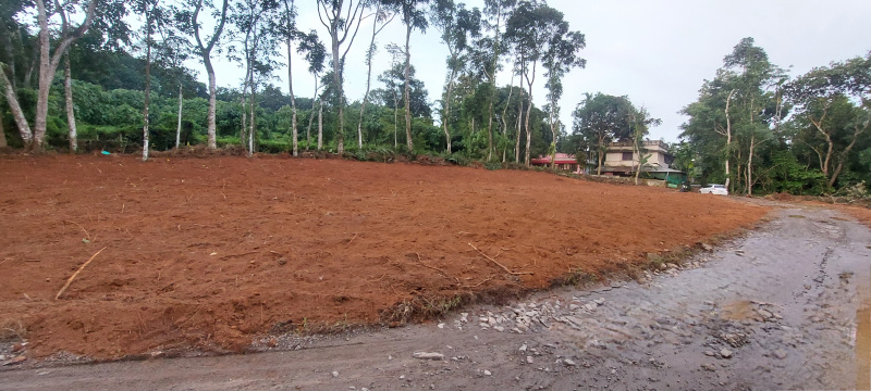Kunnathunad, Ernakulam photo 3