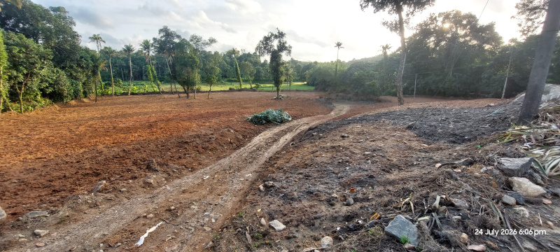 Kunnathunad, Ernakulam photo 4