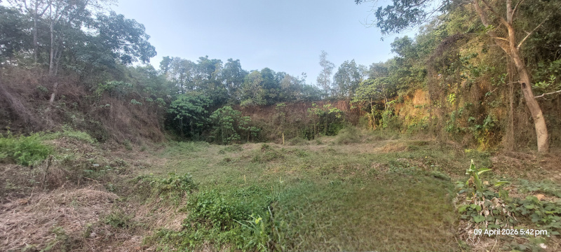 Kunnathunad, Ernakulam photo 5