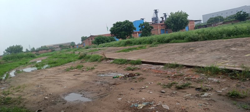 Prithla, Palwal photo 4