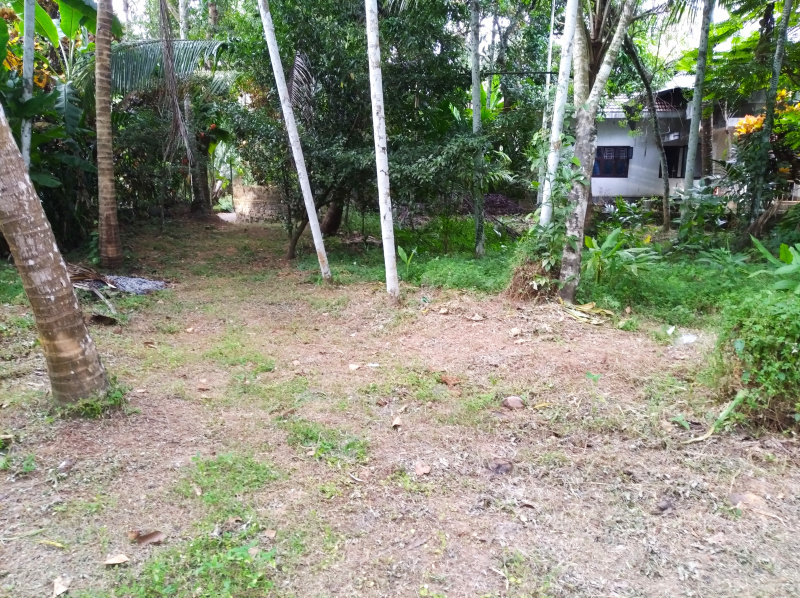 Vadakara, Kozhikode photo 5