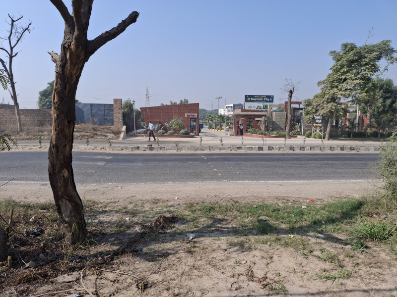 Mansa Road, Bathinda photo 4