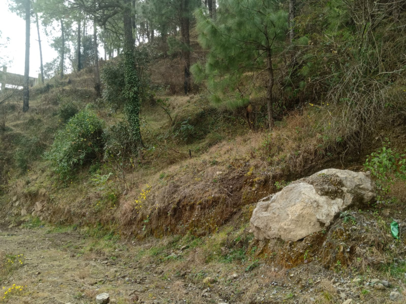 Deoghat, Solan photo 4